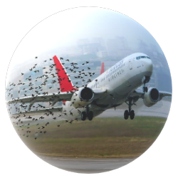 course thumbnail